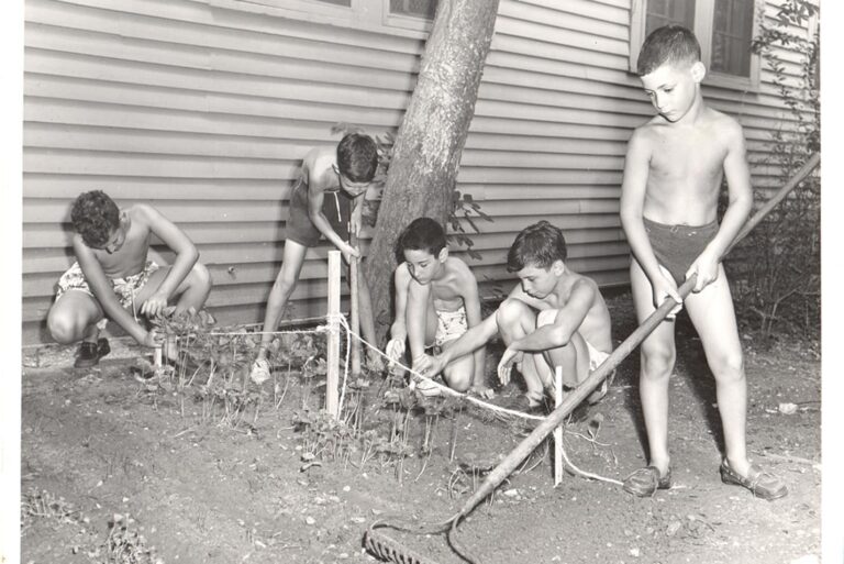 Five boys in swim trunks tend to a small garden bed near a house; one uses a rake while others observe plants.