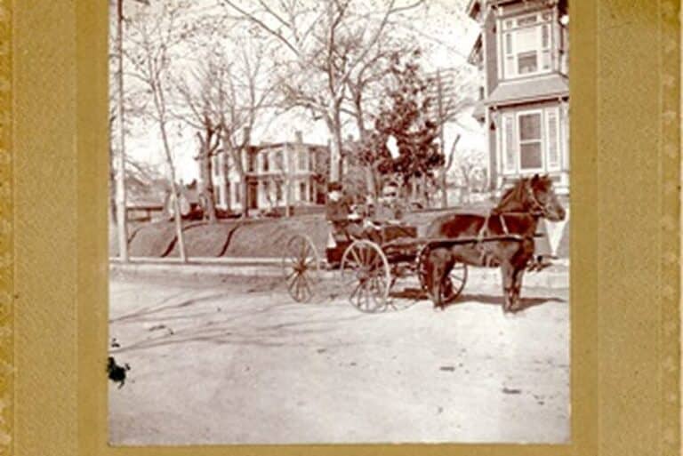 A horse-drawn carriage stands on a street lined with trees and large houses in the background.