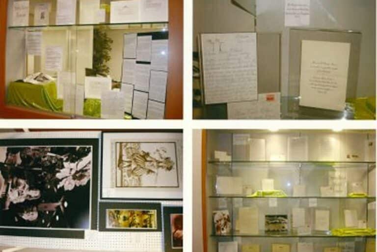 Four display cases showcase handwritten letters, documents, and framed photographs on various backgrounds.