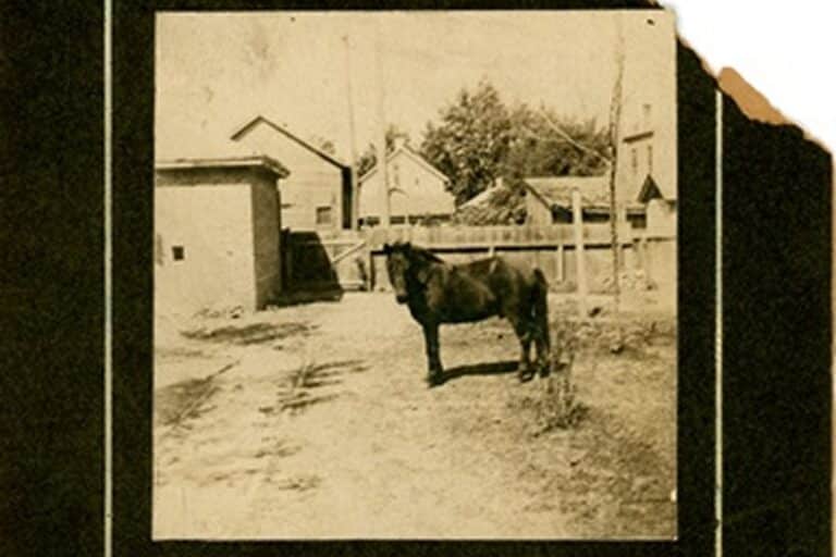 A horse stands in a dirt yard with houses, a fence, and trees in the background in an old sepia photograph.