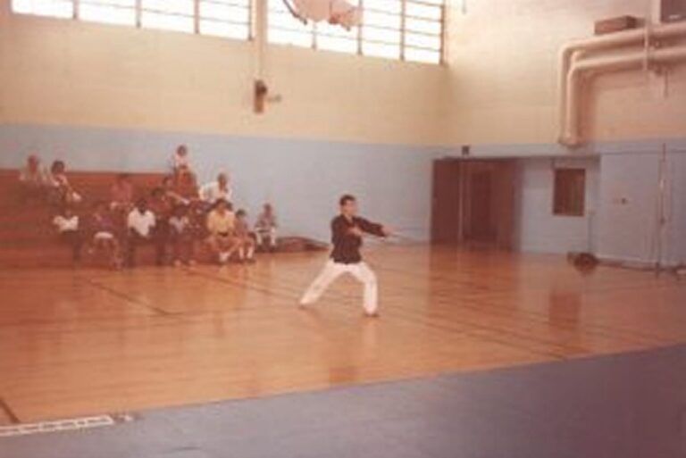 Person in martial arts uniform performs a kata in a gymnasium; audience sits on bleachers in the background.